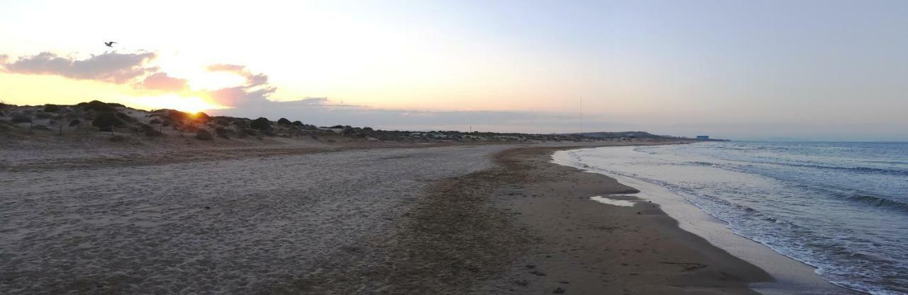 Urbanizacion Puerto Romano - Playa La Mata  Eksteriør bilde