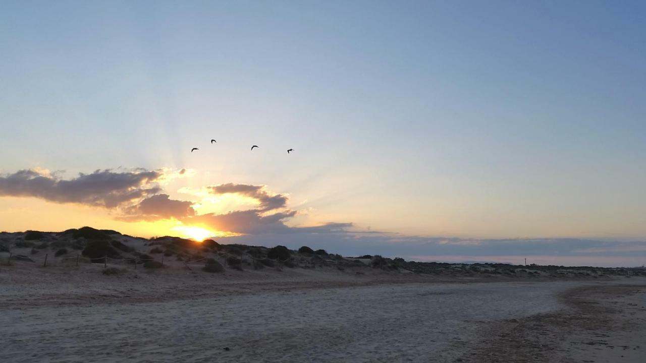 Urbanizacion Puerto Romano - Playa La Mata  Eksteriør bilde